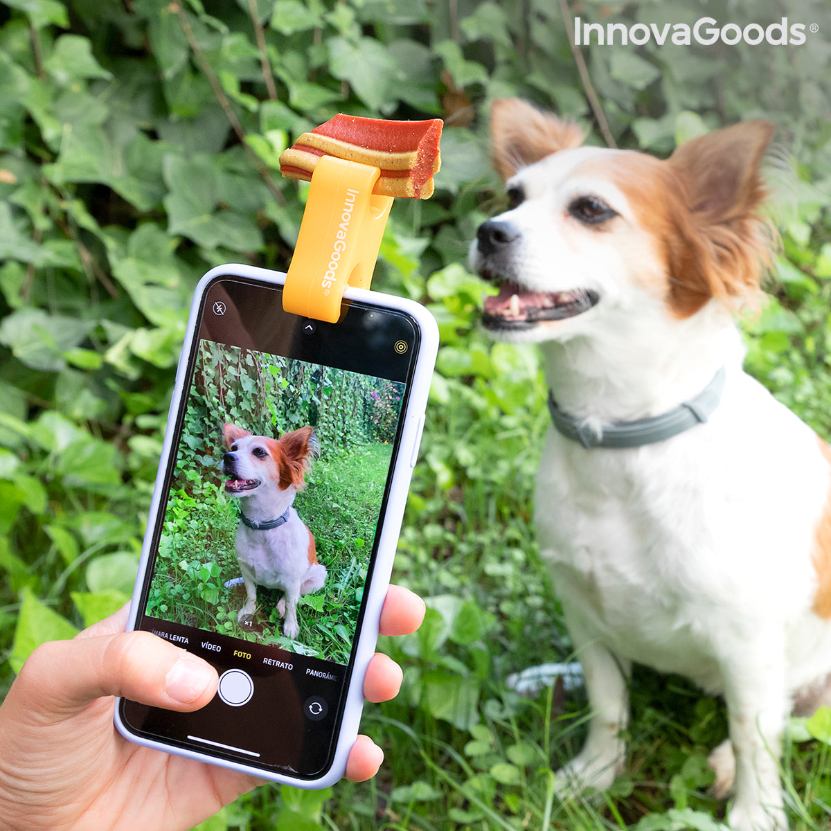 Clip Selfie para Perros InnovaGoods Pefie | Fotos y Vídeos Perfectos con tu Mascota