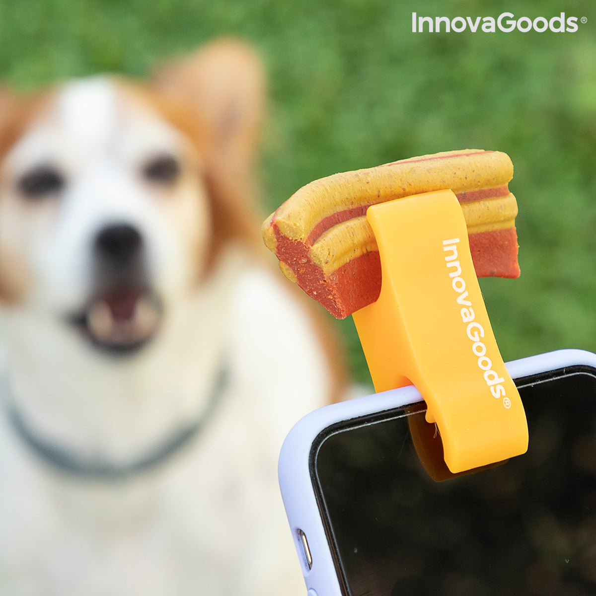 Clip Selfie para Perros InnovaGoods Pefie | Fotos y Vídeos Perfectos con tu Mascota