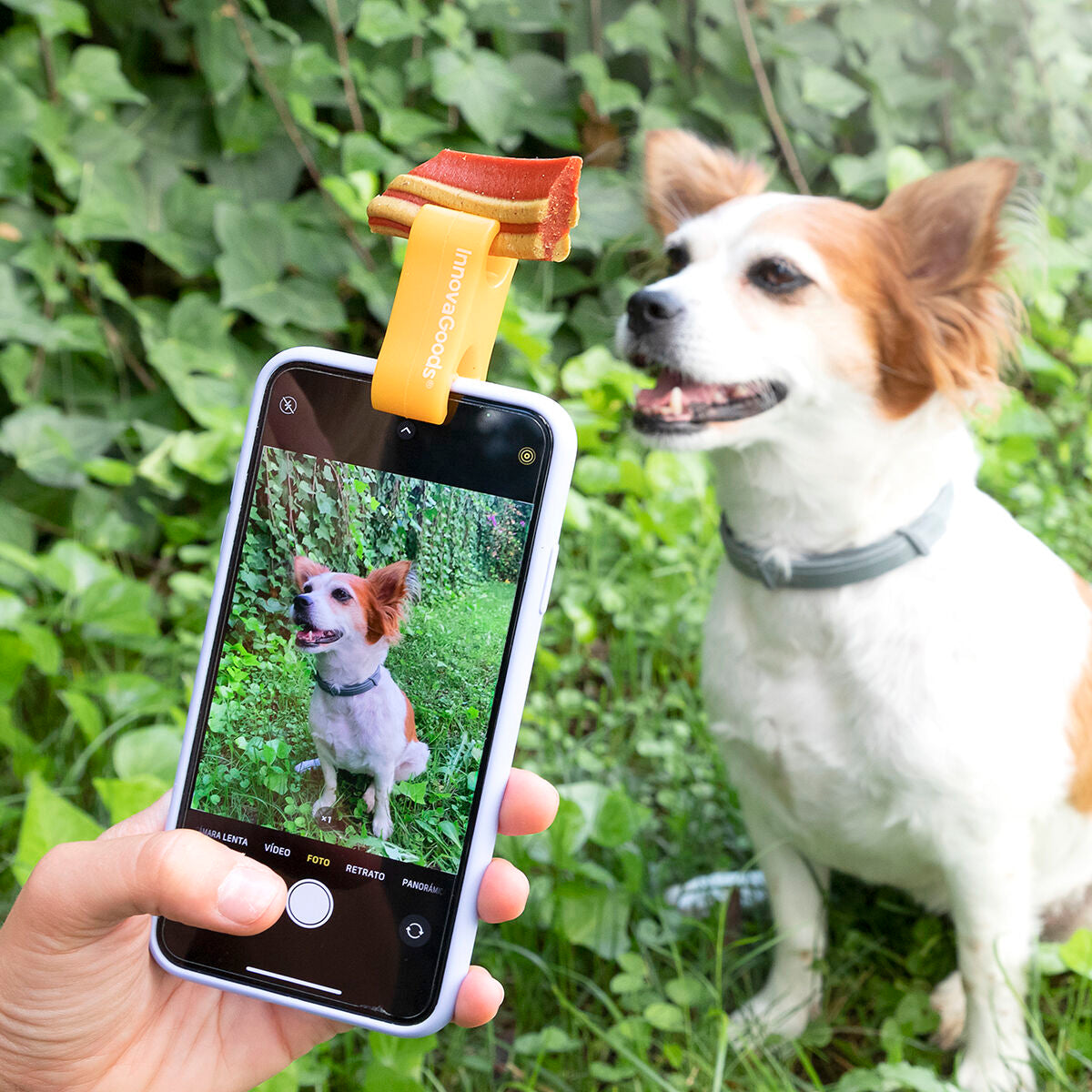 Clip Selfie para Perros InnovaGoods Pefie | Fotos y Vídeos Perfectos con tu Mascota