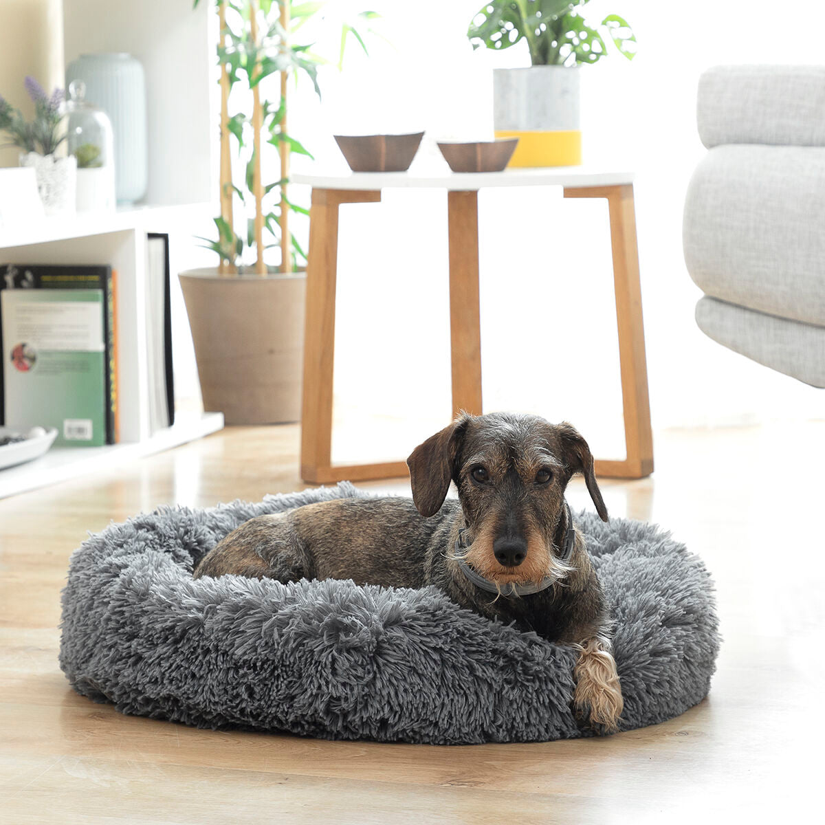 Cama Antiestrés para Perros InnovaGoods 60cm | Reduce Ansiedad y Mejora el Descanso